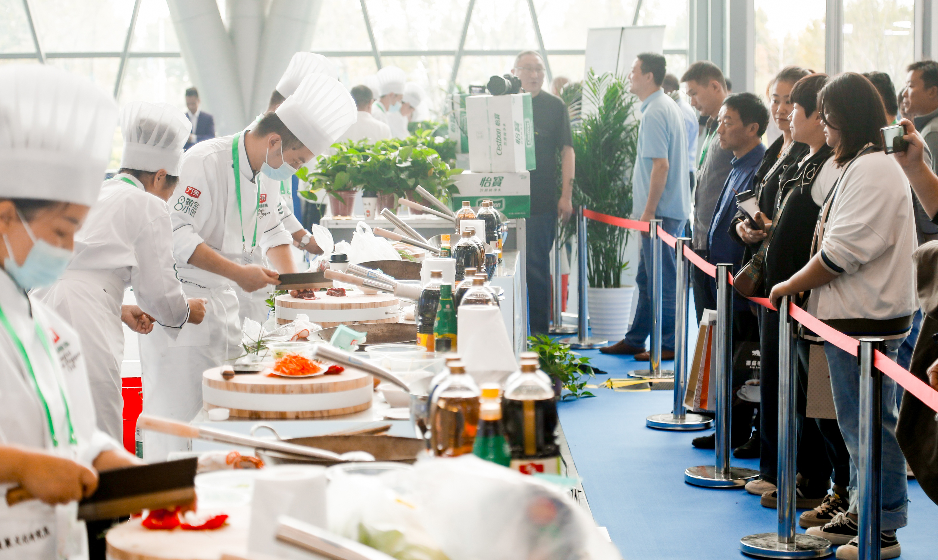 1697374895228130.jpg 1697374895228130.jpg